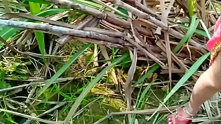 7864 indian bhabhi sex porn videos